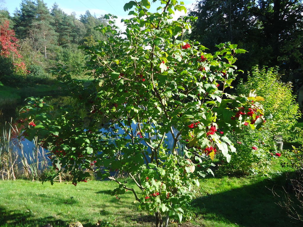 Homestay Roja Vilnius Bagian luar foto