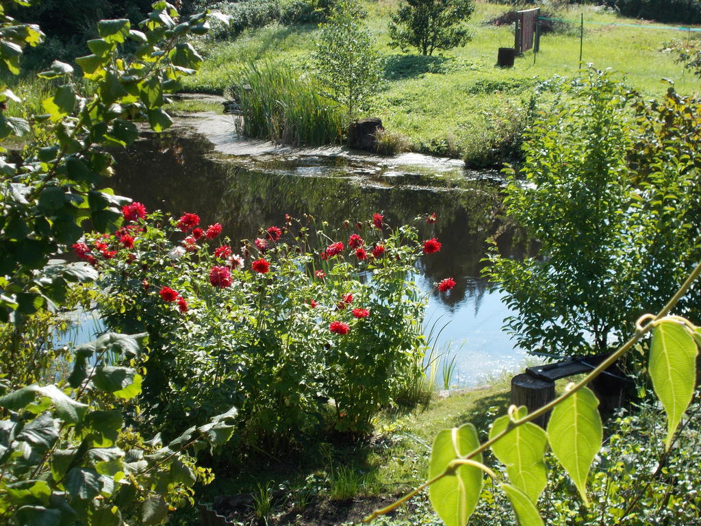 Homestay Roja Vilnius Bagian luar foto