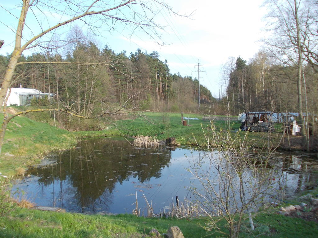 Homestay Roja Vilnius Bagian luar foto
