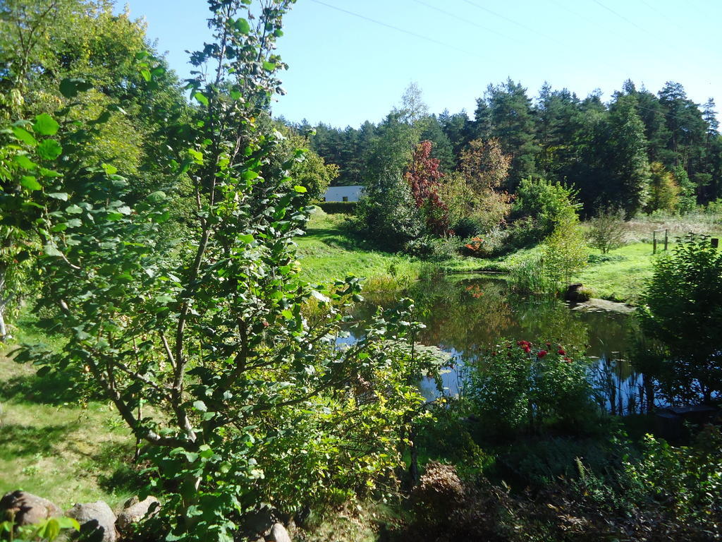 Homestay Roja Vilnius Bagian luar foto