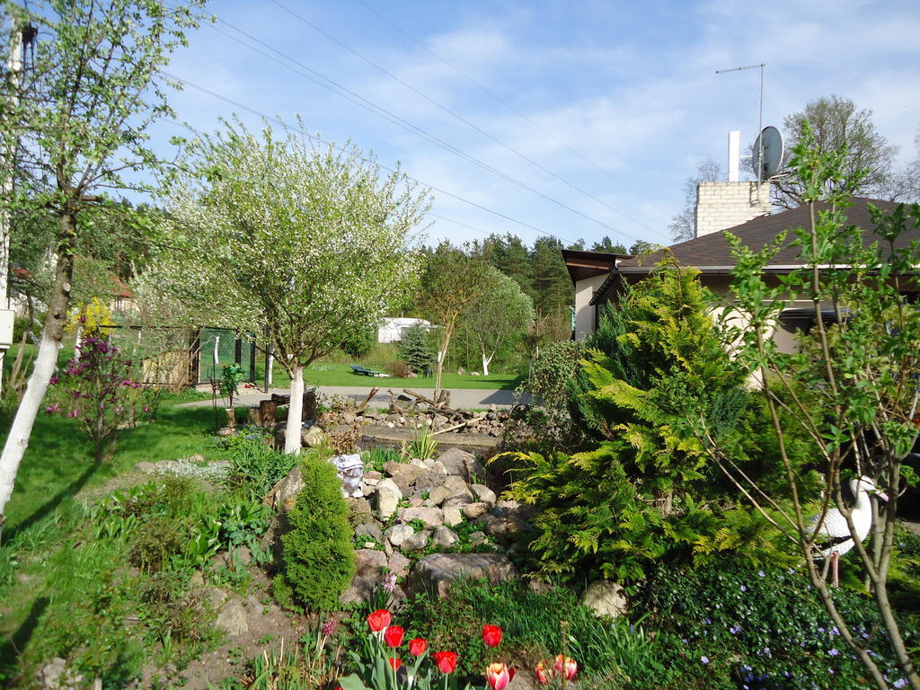 Homestay Roja Vilnius Bagian luar foto